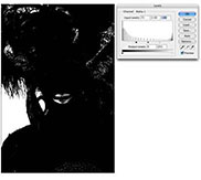 Masking out Difficult Images in Photoshop height=163